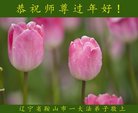 ���ֹ�,�����󷨵��ӹ�ףʦ�������(19��)
