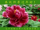 ���ֹ�,�����󷨵��ӹ�ףʦ�������(19��)