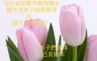 ���ֹ�,�ӱ��󷨵��ӹ�ףʦ�������(22��)