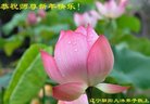 ���ֹ�,�����д󷨵��ӹ�ףʦ�������(22��)