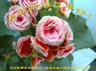 ���ֹ�,�����󷨵��ӹ�ףʦ�������(20��)