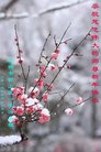 ���ֹ�,�ӱ��󷨵��ӹ�ףʦ�������(26��)