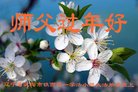 ���ֹ�,�����󷨵��ӹ�ףʦ�������(20��)