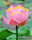 ���ֹ�,�����󷨵��ӹ�ףʦ�������(18��)