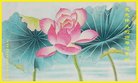 ���ֹ�,�����󷨵��ӹ�ףʦ�������(20��)