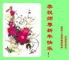 ���ֹ�,�����󷨵��ӹ�ףʦ�������(20��)