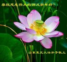 ���ֹ�,ɽ���󷨵��ӹ�ףʦ�������(23��)