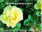 ���ֹ�,�����󷨵��ӹ�ףʦ�������(23��)