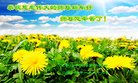 ���ֹ�,�����󷨵��ӹ�ףʦ�������(20��)