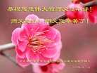 ���ֹ�,ʯ��ׯ�󷨵��ӹ�ףʦ�������(22��)