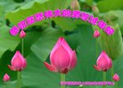 ���ֹ�,�����󷨵��ӹ�ףʦ�������(18��)
