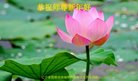 ���ֹ�,�����󷨵��ӹ�ףʦ�������(23��)