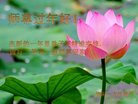 ���ֹ�,�����󷨵��ӹ�ףʦ�������(22��)
