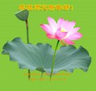 ���ֹ�,�����󷨵��ӹ�ףʦ�������(27��)