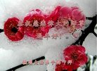 ���ֹ�,�����󷨵��ӹ�ףʦ�������(19��)
