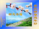 ���ֹ�,�����󷨵��ӹ�ףʦ�������(22��)