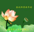 ���ֹ�,�ൺ�󷨵��ӹ�ףʦ�������(23��)