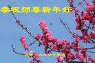 ���ֹ�,�����󷨵��ӹ�ףʦ�������(20��)