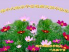 ���ֹ�,�����󷨵��ӹ�ףʦ�������(21��)