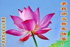 ���ֹ�,�ӱ��󷨵��ӹ�ףʦ�������(20��)