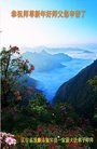 ���ֹ�,�����󷨵��ӹ�ףʦ�������(19��)