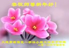 ���ֹ�,�����󷨵��ӹ�ףʦ�������(22��)