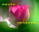 ���ֹ�,�ӱ��󷨵��ӹ�ףʦ�������(29��)