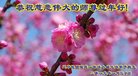 ���ֹ�,�����󷨵��ӹ�ףʦ�������(20��)