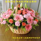 ���ֹ�,�����󷨵��ӹ�ףʦ�������(24��)