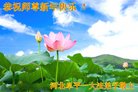 ���ֹ�,�ӱ��󷨵��ӹ�ףʦ�������(23��)