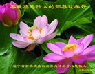 ���ֹ�,�����󷨵��ӹ�ףʦ�������(19��)