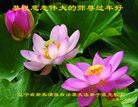 ���ֹ�,�����󷨵��ӹ�ףʦ�������(19��)