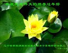 ���ֹ�,�����󷨵��ӹ�ףʦ�������(19��)