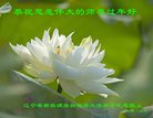 ���ֹ�,�����󷨵��ӹ�ףʦ�������(19��)