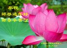 ���ֹ�,ʯ��ׯ�󷨵��ӹ�ףʦ�������(23��)