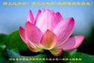 ���ֹ�,ʯ��ׯ�󷨵��ӹ�ףʦ�������(23��)
