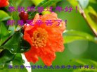 ���ֹ�,�����󷨵��ӹ�ףʦ�������(23��)