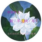 ���ֹ�,ɽ���󷨵��ӹ�ףʦ�������(27��)