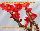 ���ֹ�,�����󷨵��ӹ�ףʦ�������(22��)