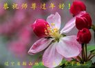 ���ֹ�,�����󷨵��ӹ�ףʦ�������(22��)