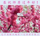 ���ֹ�,�����󷨵��ӹ�ףʦ�������(22��)