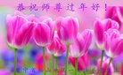 ���ֹ�,�����󷨵��ӹ�ףʦ�������(22��)