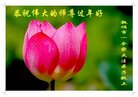 ���ֹ�,�����󷨵��ӹ�ףʦ�������(22��)