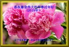 ���ֹ�,�����󷨵��ӹ�ףʦ�������(22��)