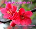 ���ֹ�,�ӱ��󷨵��ӹ�ףʦ�������(24��)