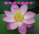 ���ֹ�,�ӱ��󷨵��ӹ�ףʦ�������(24��)