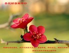 ���ֹ�,�ȷ��󷨵��ӹ�ףʦ�������(27��)