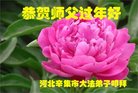 ���ֹ�,ʯ��ׯ�󷨵��ӹ�ףʦ�������(23��)