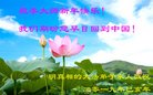 ���ֹ�,��«���󷨵��ӹ�ףʦ�������(24��)