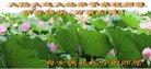 ���ֹ�,�����󷨵��ӹ�ףʦ�������(24��)